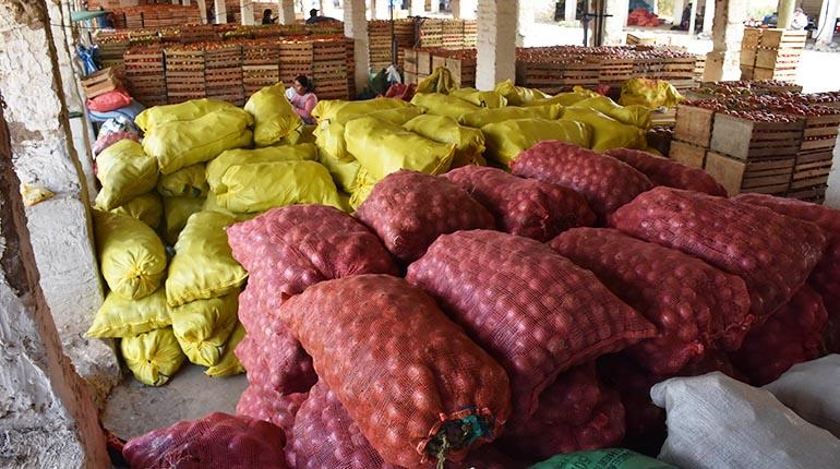 Las verduras del cono sur llegan todos los días para recuperar las pérdidas