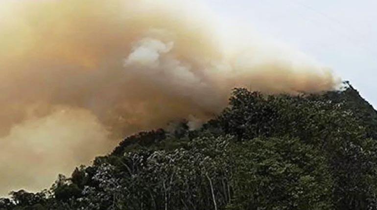 El Parque Madidi arde y sólo puede controlarse por aire