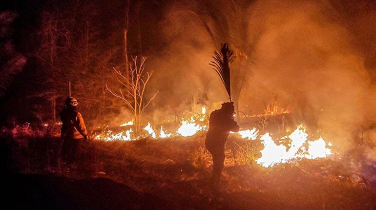 Narcos, cacería, fuego, minería ilegal y otros factores dañan áreas protegidas