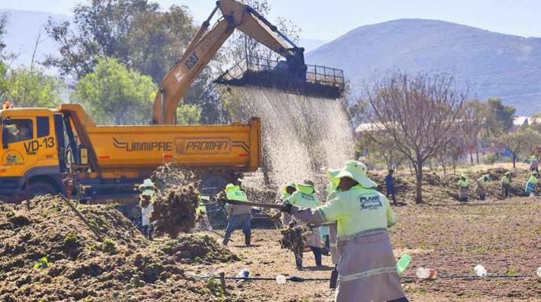 Despliegan operativo para cosechar las macrófitas de Alalay